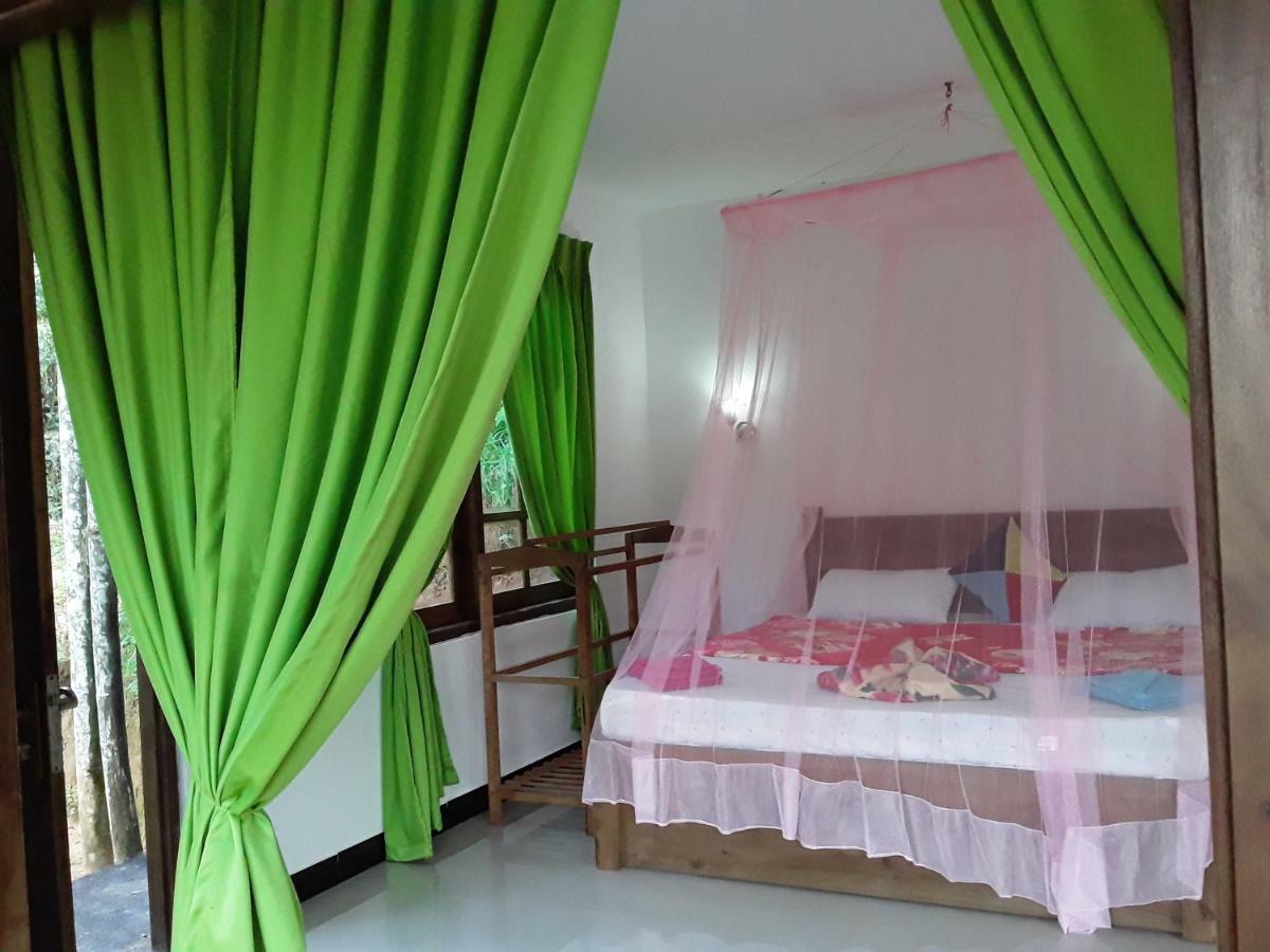 Nine Arch Araliya Homestay Ella Εξωτερικό φωτογραφία